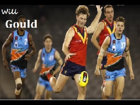 Will Gould (24) highlights | Draft Prospect | 2019 | AFL