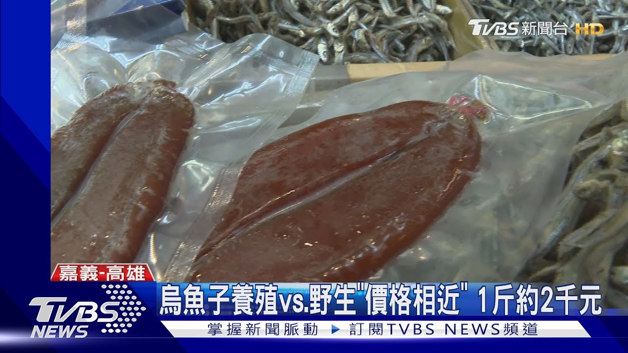烏金凍漲!野生烏魚產量增 業者:今年價格平穩
