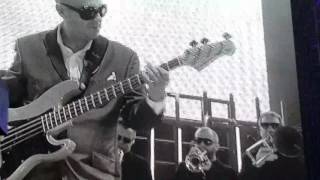 Blackbird- Amy Winehouse tribute by madness