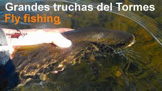 Grandes truchas en El Chorrón