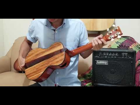 Custom Handmade Tigerwood Tenor Ukulele w/t Ebony Fretboard image 20