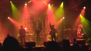 Levellers - This Garden LIVE Bearded Theory 2013