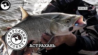 Ссылка