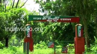 Rajaji National Park near Haridwar, Uttarakhand