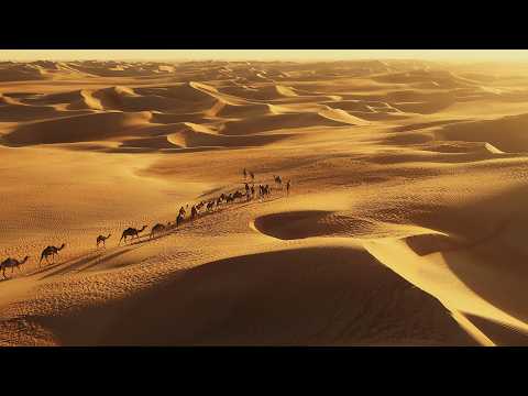 Desert Videography | Lumora Studio