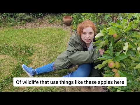 Every One Of Those Nature Watch Shows W/ Suzanne Primate