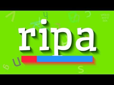 How to say "ripa"! (High Quality Voices)