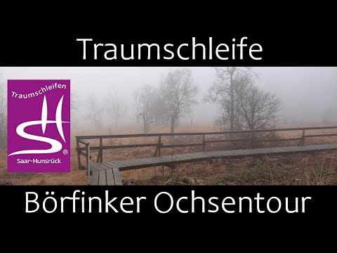 Traumschleife Börfinker Ochsentour | Premiumwandern | Nationalpark Hunsrück-Hochwald | 54422 Börfink