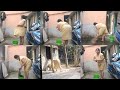কি যে ঠান্ডা আর এই ঠান্ডায় কাজ করতে ই�