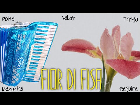Fior di fisa - 15 brani valzer, mazurca, polca, tango [Fisarmonica compilation]