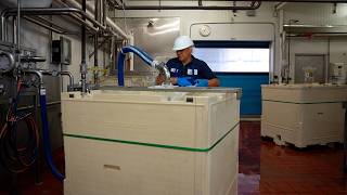 Keeping Dairy Moving: Scott Brothers Dairy + CHEP Pallecon