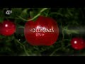 Hollyoaks Titles July 2016 1080p