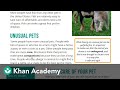 Using text features to locate information | Reading | Khan Academy