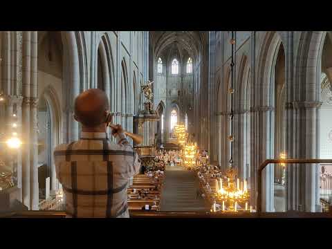 Näverlur in Uppsala Domkyrka