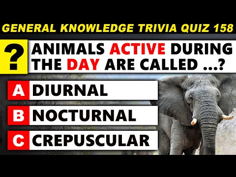 Ultimate General Knowledge Trivia Quiz 158 | 60 Great Questions - 6 Topics