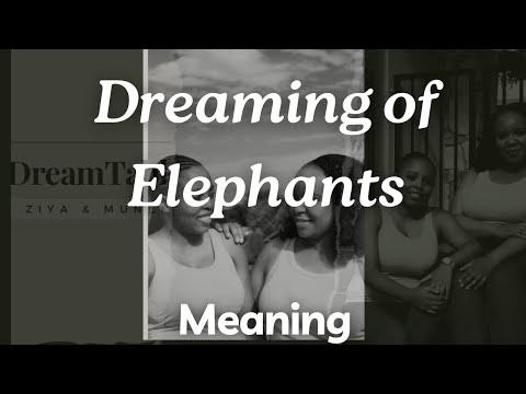Dreaming of Elephants | Biblical Dream Interpretation