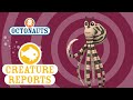 Octonauts Creature Reports Mimic Octopus