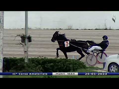 Aversa trotto 25 Gennaio 2023 - Corsa Amatoriale 2° Batteria
