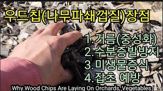 나무껍질을 과수밭 채소밭에 깔아 보세요.Why Wood Chips Are Laying On Orchards,…