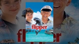 Flipper