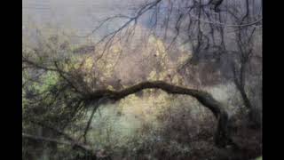 Mark Knopfler - Slow Learner