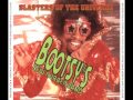 Bootsy's New Rubber Band - Back 'N' The Day