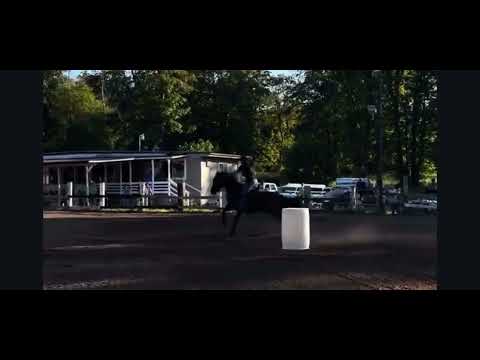 Green River Saddle Club video thumbnail