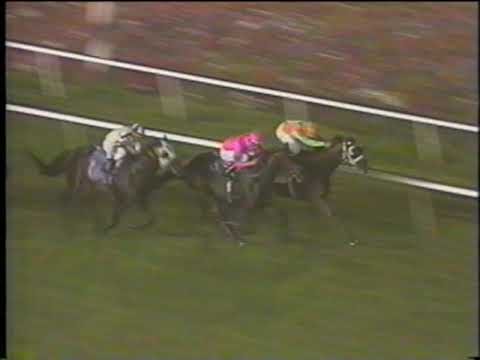 1993 Khaled Handicap