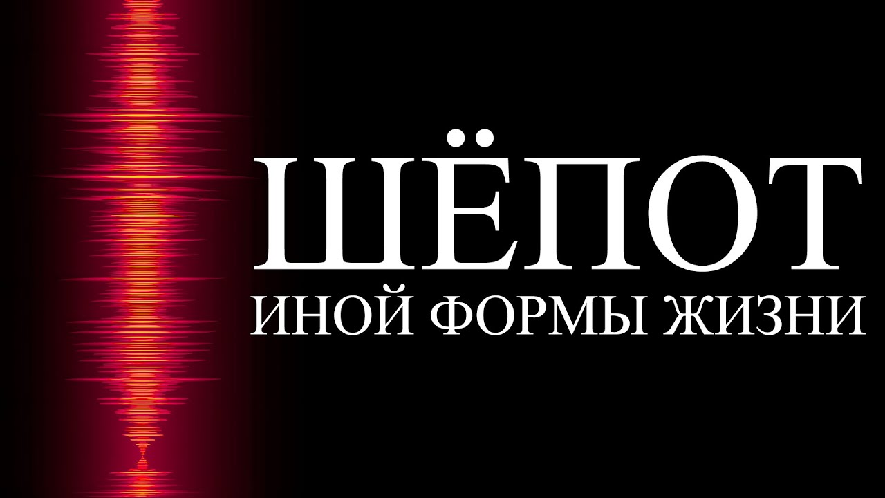 С нашей эволюцией что-то не так | ALI