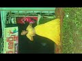 Latest Recording Dance 2026 New Year Recording Dance Hot Open Dance Anakapalli Sambaram
