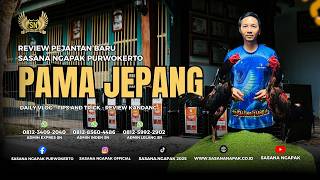 Download lagu 'Review Pejantan Terbaru SN 'PAMA JEPANG' mp3