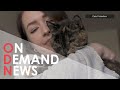 Meet Flossie The World S Oldest Cat