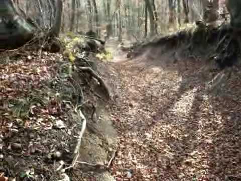 61.DEČKI  ŽUTNICE - Uspon po klancu