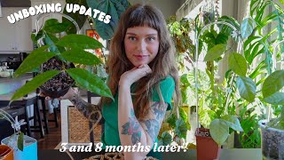 updates on plants i unboxed in 2024 🌿 the good, the bad, & the no longer with us 💀