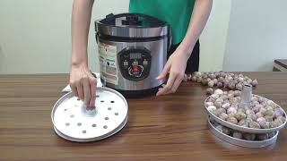 How to use NPET GF10 Black Garlic Fermenter