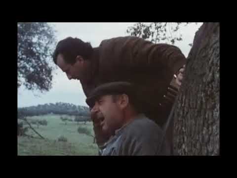 Película LOS SANTOS INOCENTES (1984). Mario Camus, Alfredo Landa, Paco Rabal, Juan Diego,...