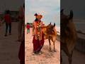 Albelo Kaushikbharwad Gopalbharvad Krishna Dwarkadhishofficial Dwarka Jaythakar