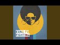 Kung Fu Fighting