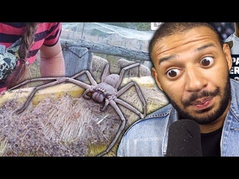 Eklige wahre Bilder !!