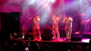 Fat Freddy's Drop - Never Moving (Horns Jam) - Live at Twilight At Taronga Zoo, Sydney - 06/03/14