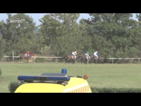 MI, 26. 7. 2015, 5. dostih - CENA LIBERECKÉHO KRAJE