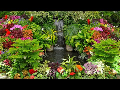 【Garden】🌸The World’s Most Beautiful Gardens You Must See! 🏞️ Hidden Gems of Nature