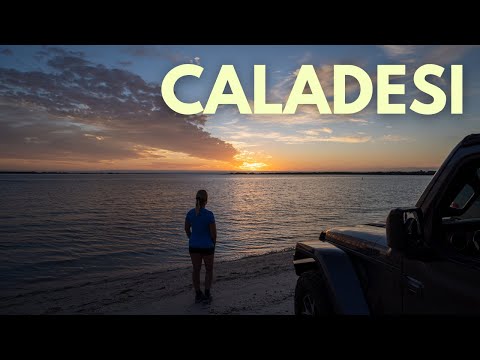 image-Is Caladesi Park open?
