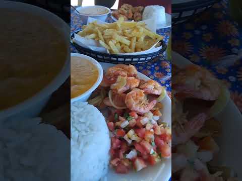 31 de dezembro de 2025 coqueiro seco Maceió Alagoas