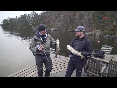 Abenteuer Blinker-Testreise Norwegen I Teil 2