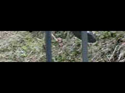 22 caliber bullet bouncing off metal target in slow motion (1000 fps)