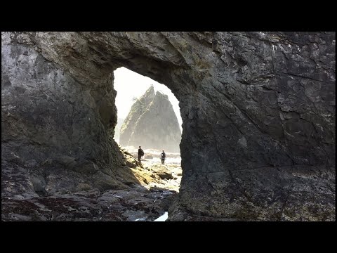 Short hike to a cool place: Rialto Beach - KING 5 Evening