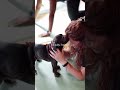Physically You Could Be Doing Puppy Yoga At The Goddess Loft
