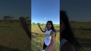 CLOSE ENCOUNTER WITH WILD RHINOS 🤯