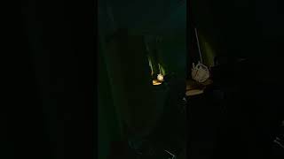 Welcome to tarkov PT2